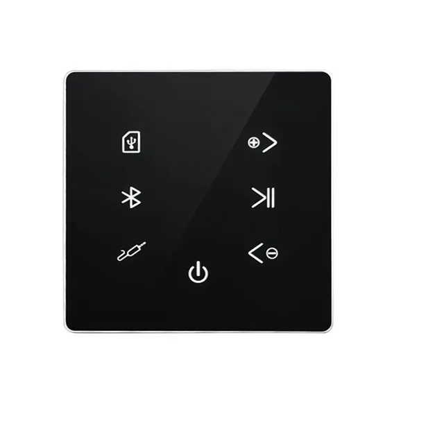 In-Wall Amplifier — Touch Panel