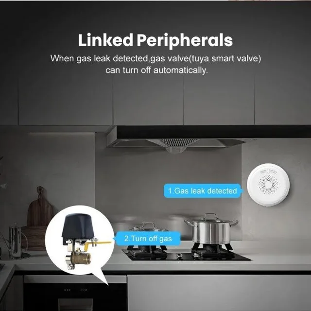 Smart Gas Detector