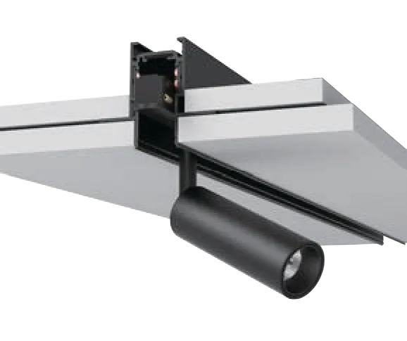 Smart Spotlights