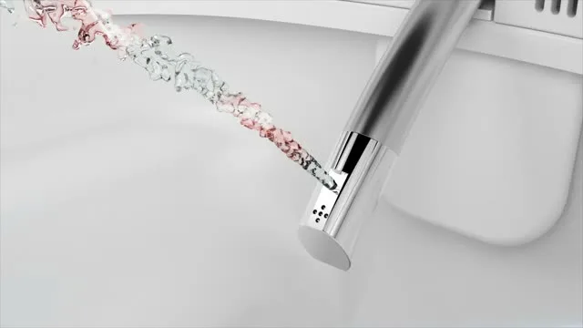 Stainless steel self-cleaning bidet nozzle with water spray