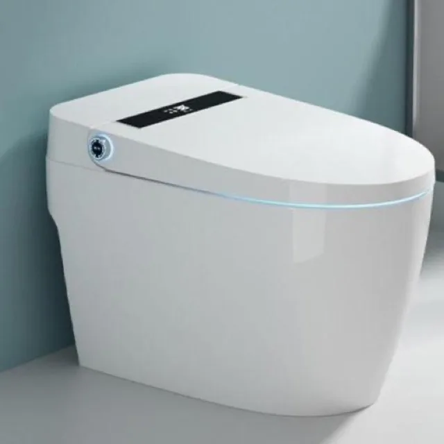 Smart toilet